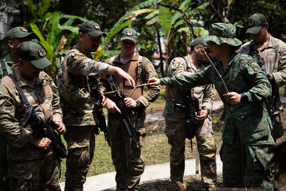 Bushmasters and SAF train with one another