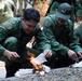 Bushmasters and SAF train with one another