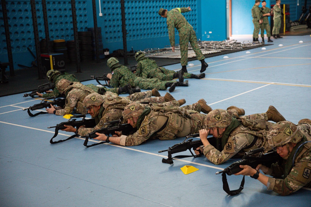 Bushmasters and SAF train with one another