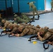 Bushmasters and SAF train with one another
