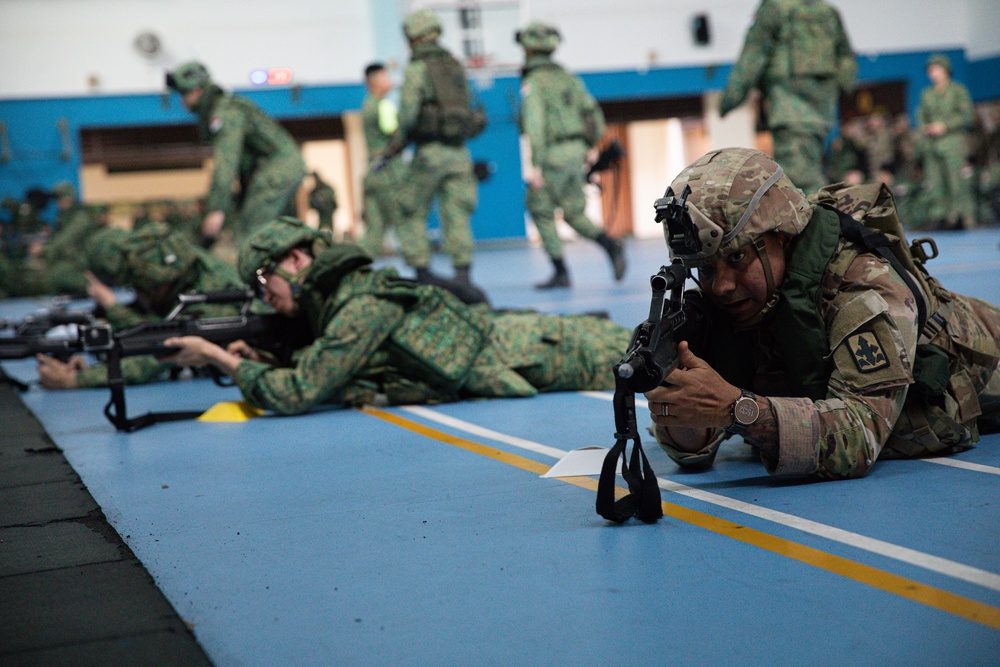 Bushmasters and SAF train with one another
