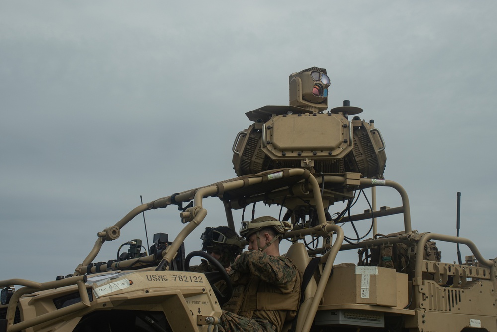 31st MEU | Light Marine Air-Defense Integrated System exercise
