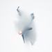 PACAF Viper Demo supports Osan Air Power Days media day promoting U.S.-ROK partnership