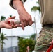 137th SOW Airmen establish communications in Martinique