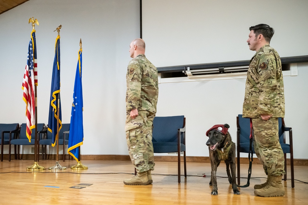 K9 Callie, only search-and-rescue dog in DOD, retires from Kentucky Air Guard