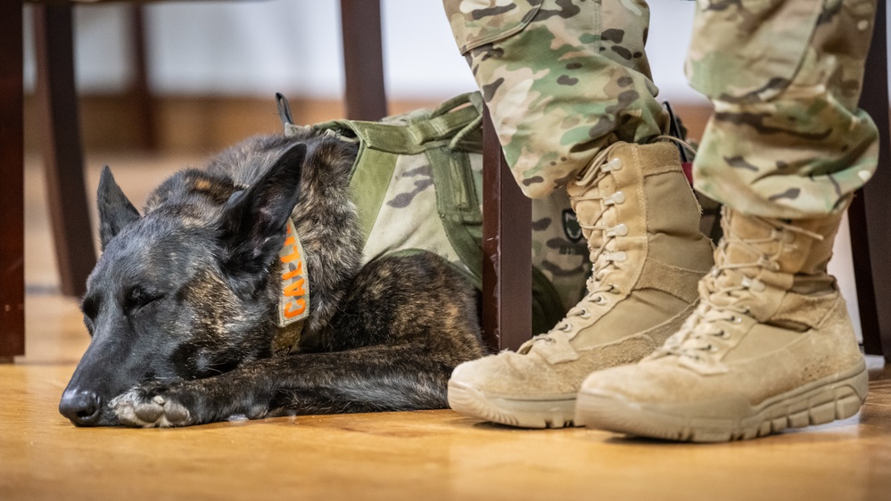 K9 Callie, only search-and-rescue dog in DOD, retires from Kentucky Air Guard