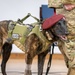 K9 Callie, only search-and-rescue dog in DOD, retires from Kentucky Air Guard