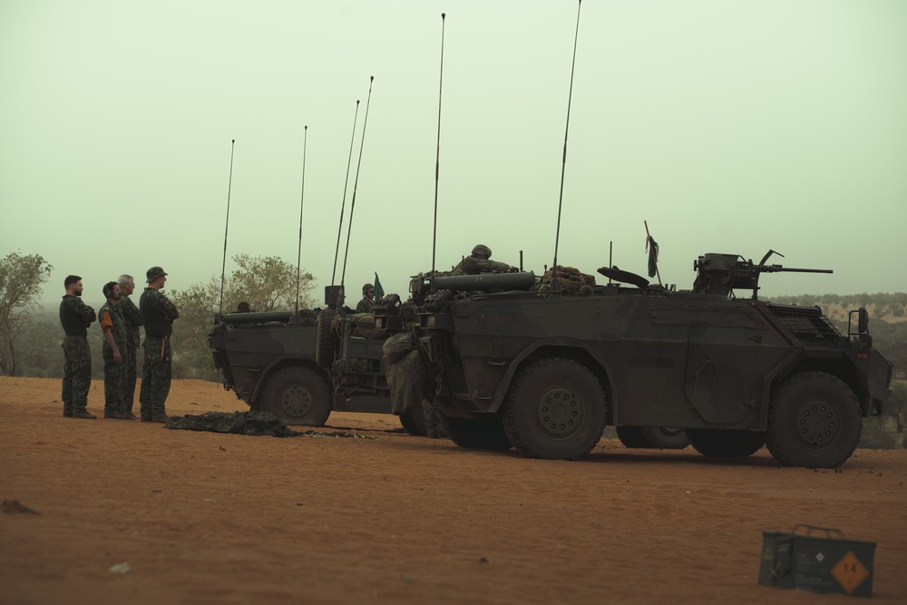 Dutch recon forces sharpen gunnery skills in Senegal during African Lion 2025