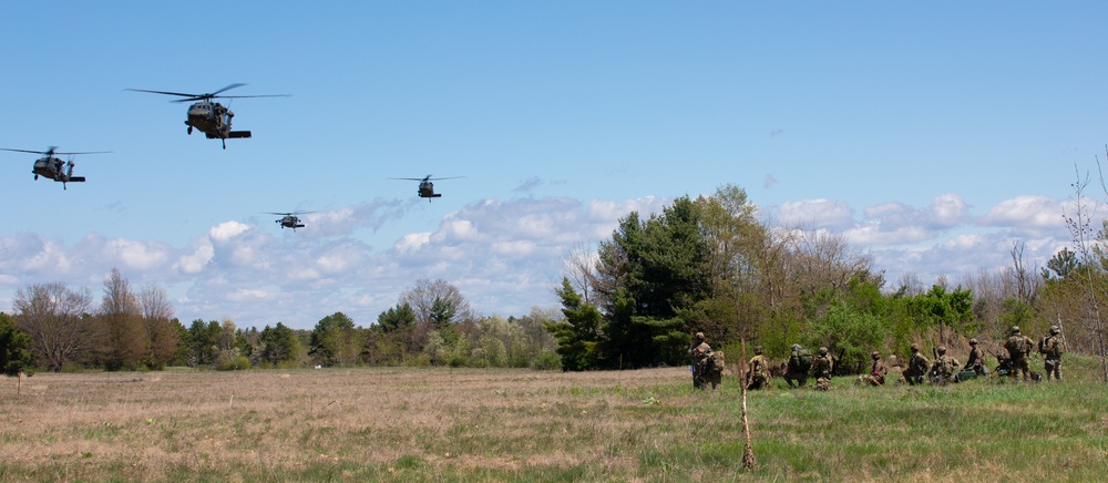 4-31 &quot;Polar Bears&quot; Execute a Joint Forcible Entry
