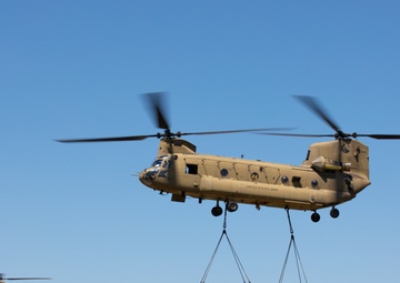 4-31 "Polar Bears" Execute a Joint Forcible Entry