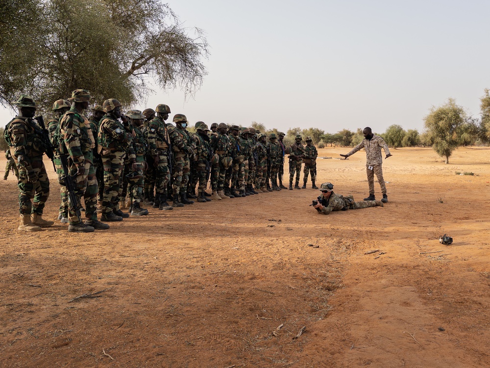 US, partner forces begin live-fire training in Senegal at African Lion 2025