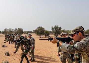 US, partner forces begin live-fire training in Senegal at African Lion 2025