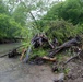 Hurricane Helene debris removal in the Cullasaja river
