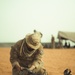 173rd Airborne enhances lethality, interoperability in Senegal at African Lion 2025
