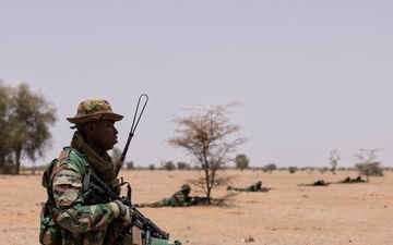 Senegal patrols train for combat readiness at AL25