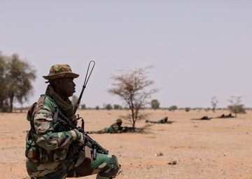 Senegal patrols train for combat readiness at AL25