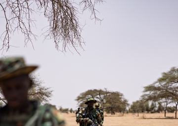 Senegal patrols train for combat readiness at AL25