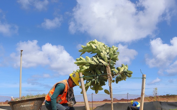 Landscaping Installation on Marine Corps Base Camp Blaz