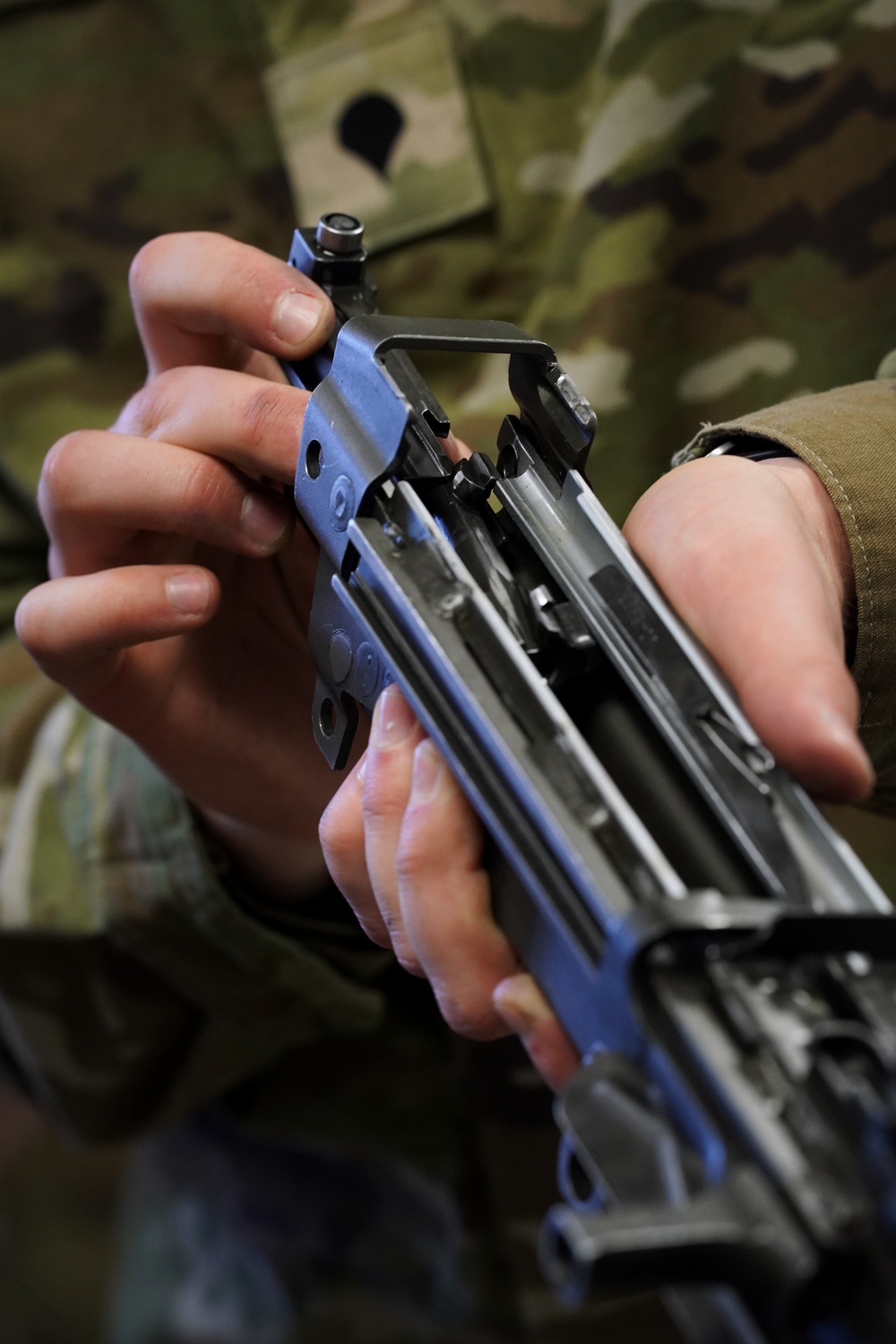 USAR BSC 2025 - Petting Zoo