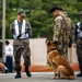 Respect the Past, Forge the Future: Air Power Days Returns to Osan