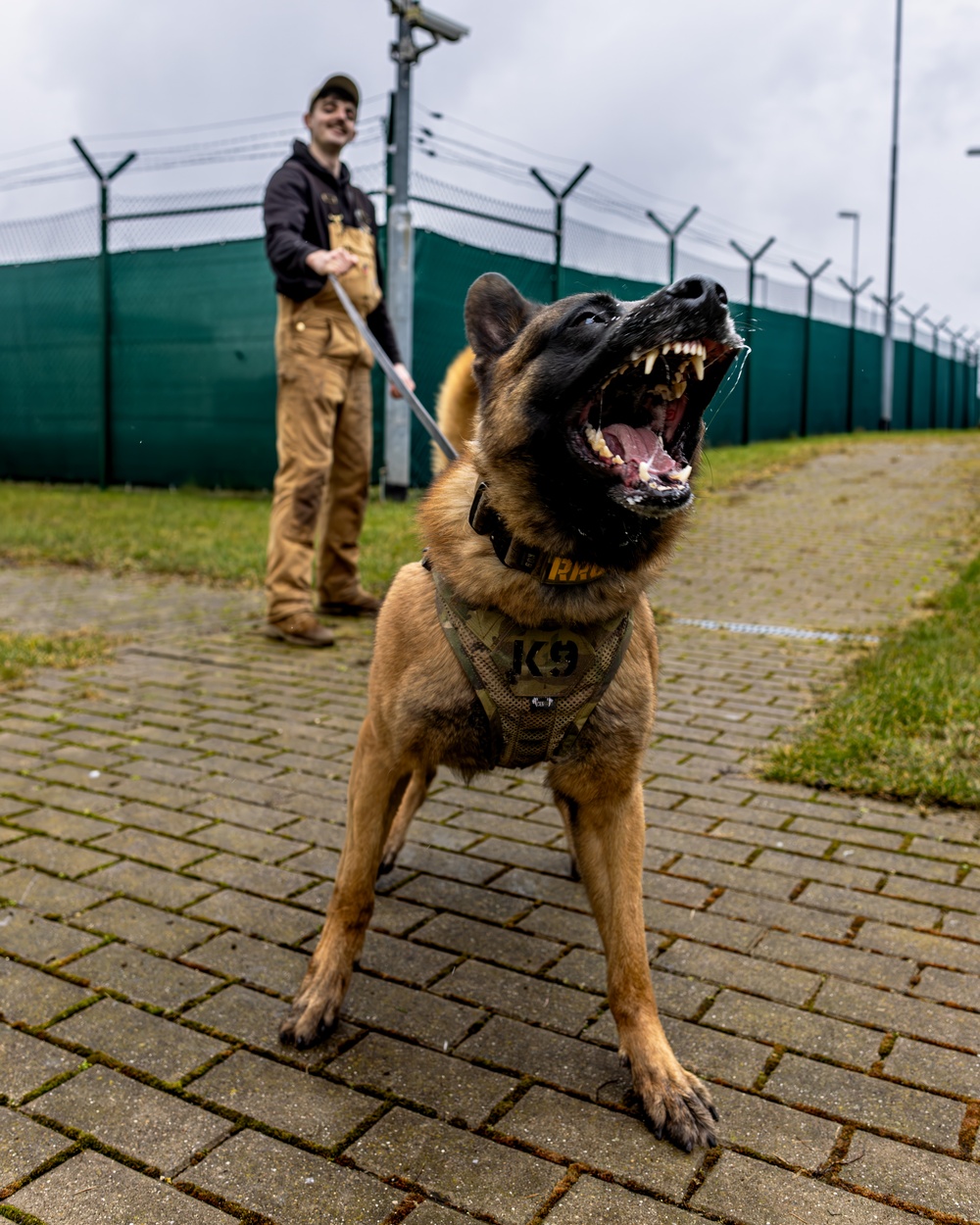 K9s of Ansbach