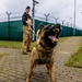 K9s of Ansbach