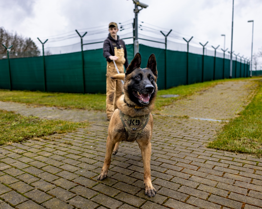 K9s of Ansbach