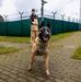 K9s of Ansbach