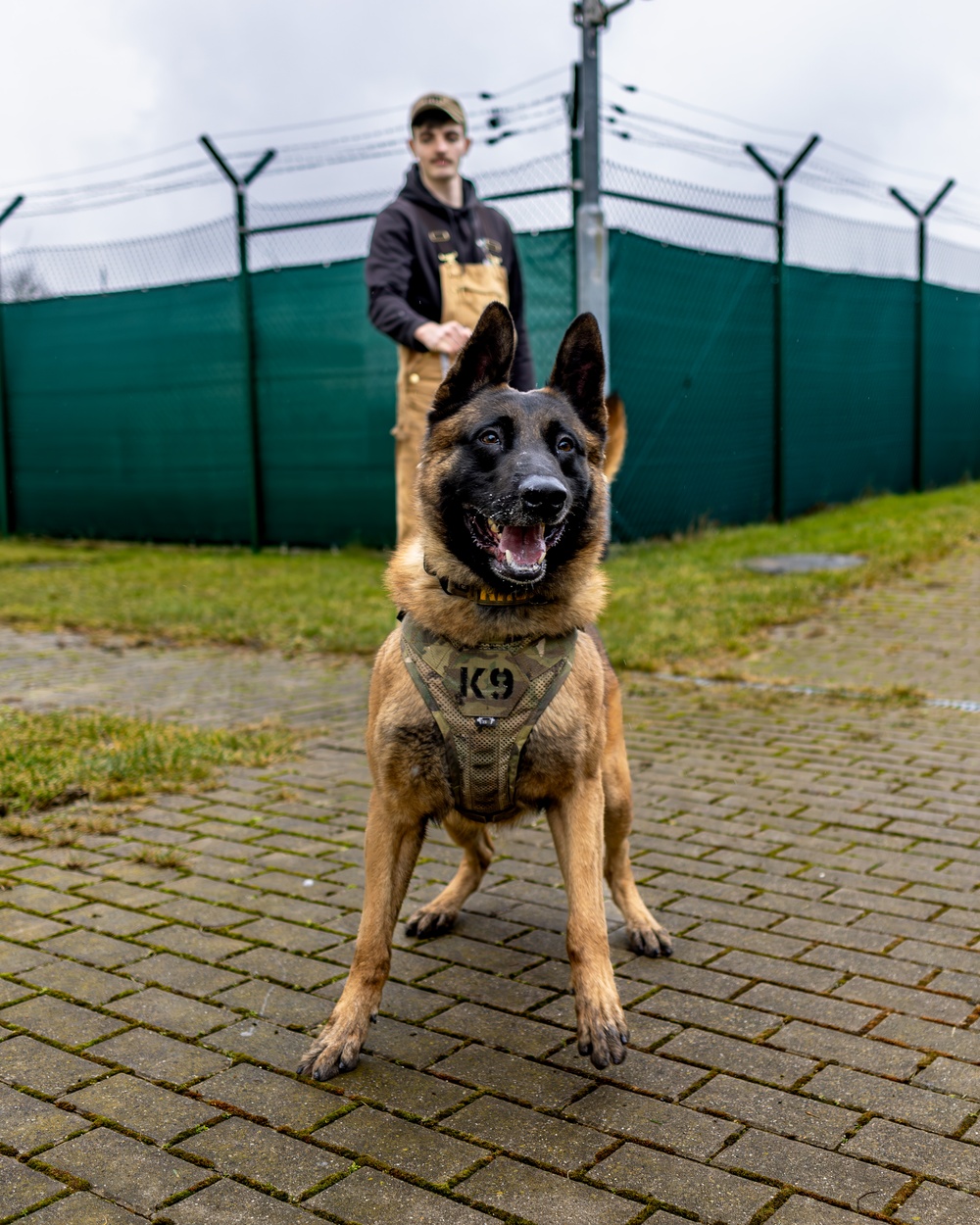 K9s of Ansbach