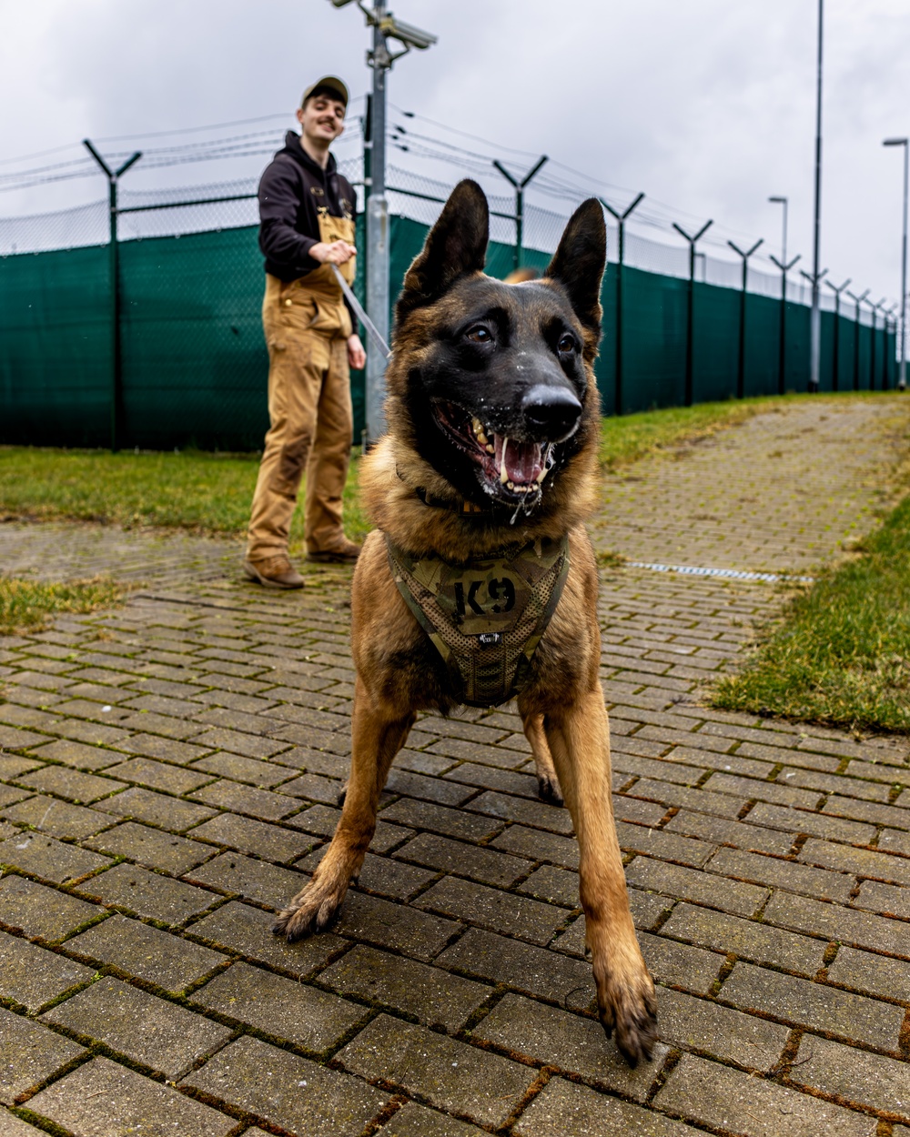 K9s of Ansbach