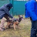 K9s of Ansbach
