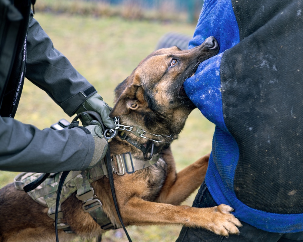 K9s of Ansbach