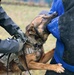 K9s of Ansbach