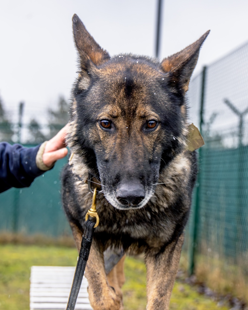 K9s of Ansbach