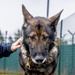 K9s of Ansbach