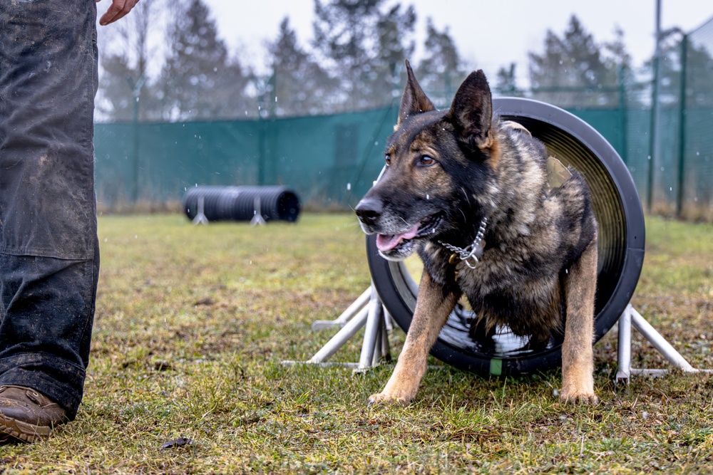 K9s of Ansbach