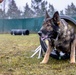 K9s of Ansbach