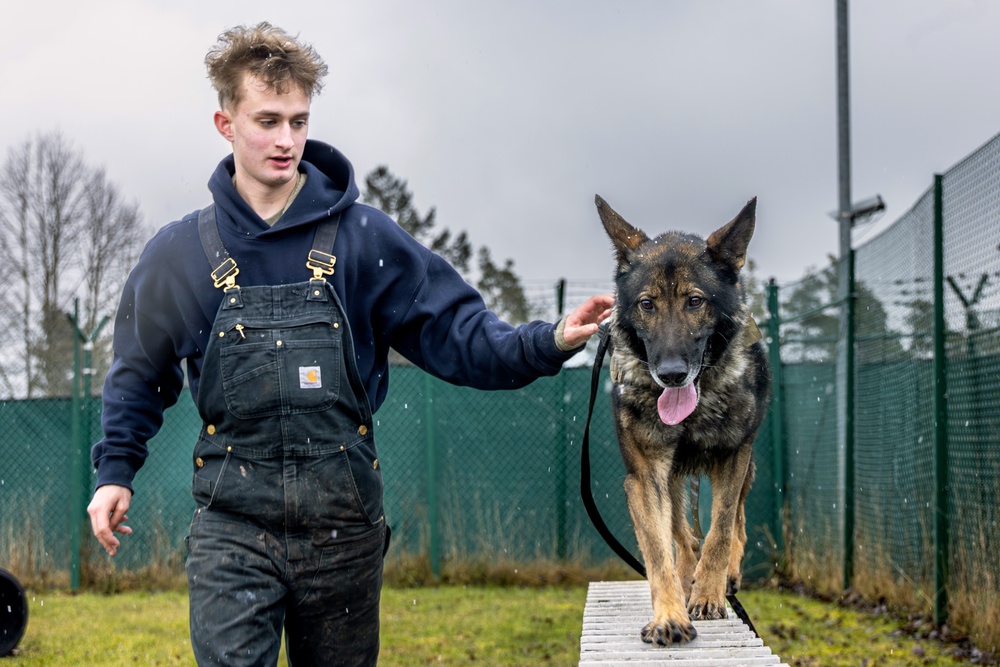 K9s of Ansbach