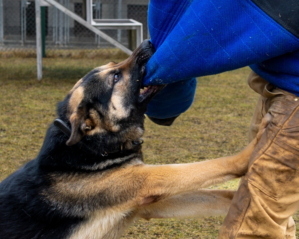 K9s of Ansbach