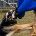 K9s of Ansbach