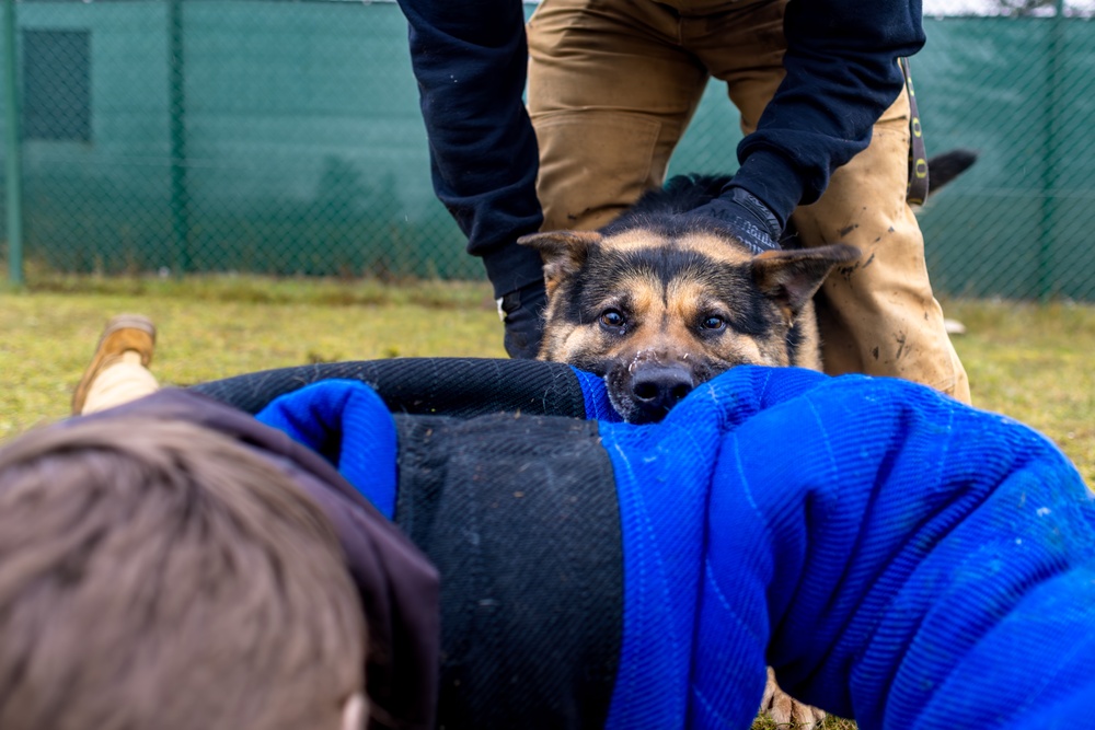 K9s of Ansbach