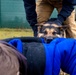 K9s of Ansbach