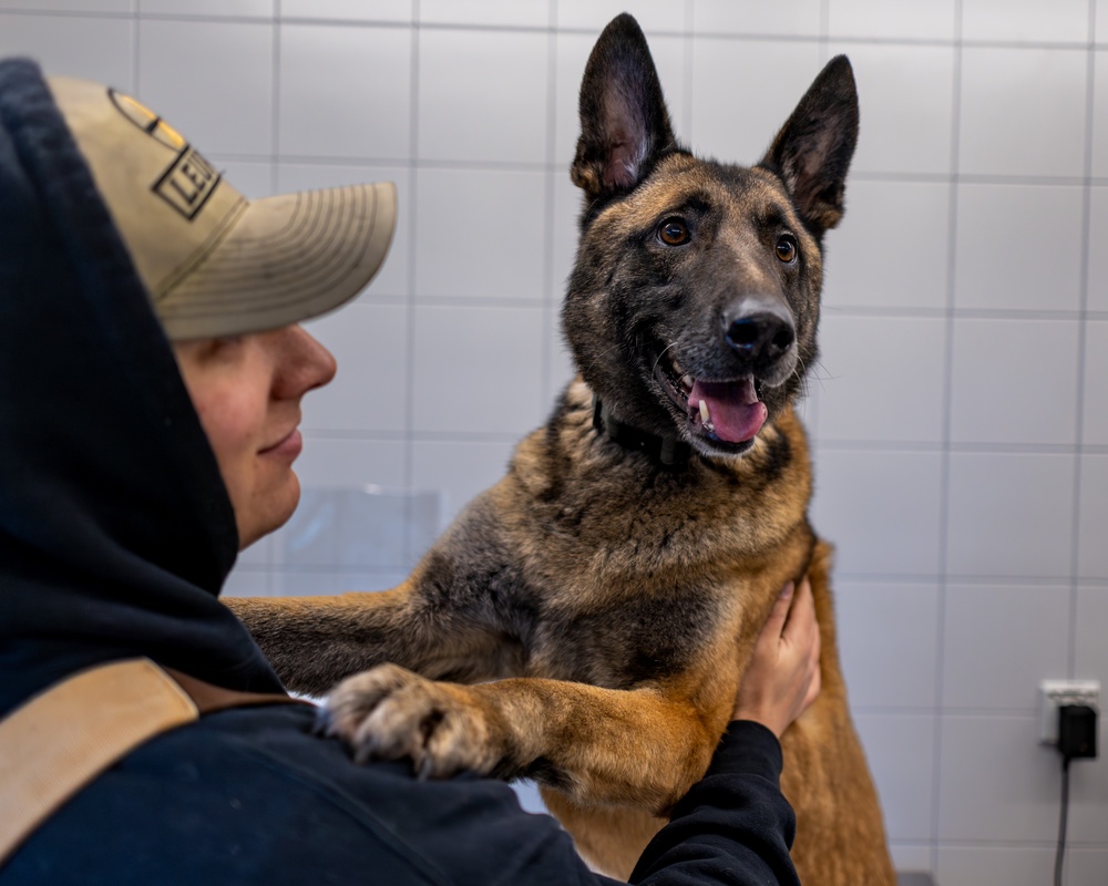 K9s of Ansbach