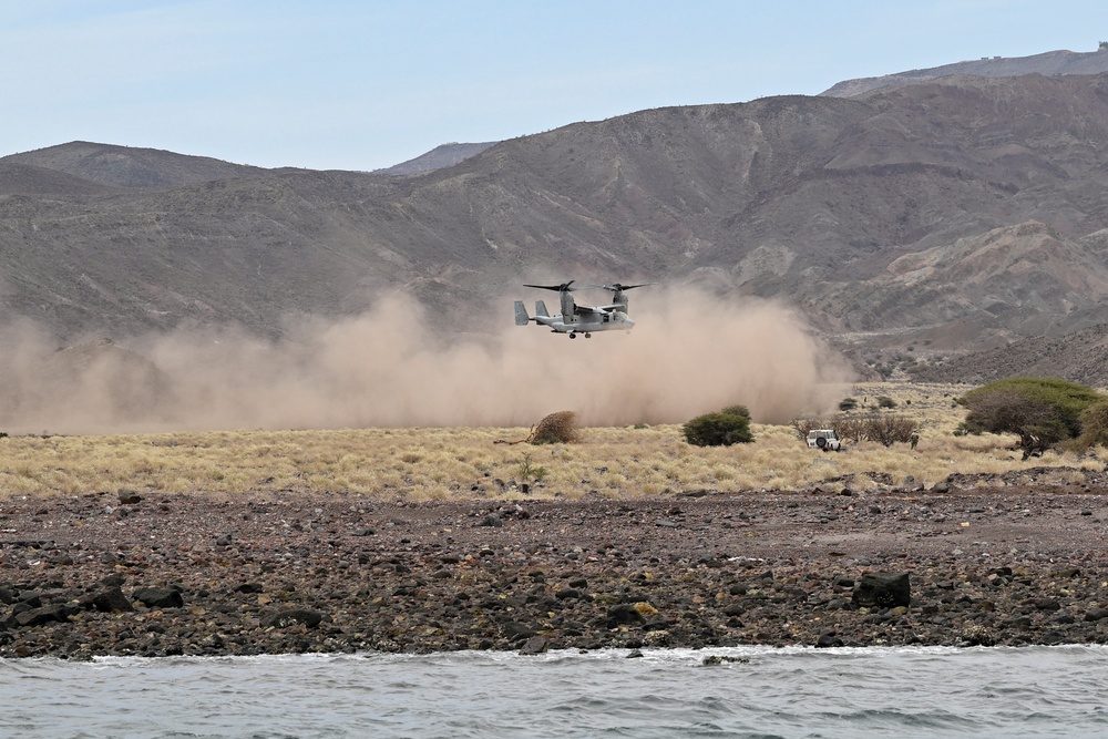 Bull Shark 25-2: US strengthens alliances, collectively boosts regional security capabilities in  East Africa