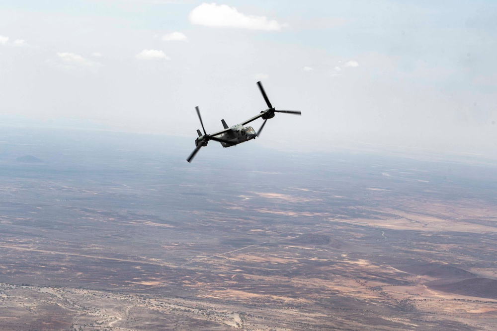 Bull Shark 25-2: US strengthens alliances, collectively boosts regional security capabilities in East Africa