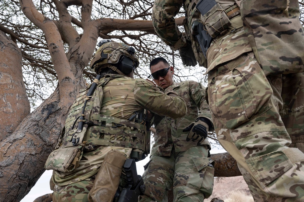 Bull Shark 25-2: US strengthens alliances, collectively boosts regional security capabilities in East Africa