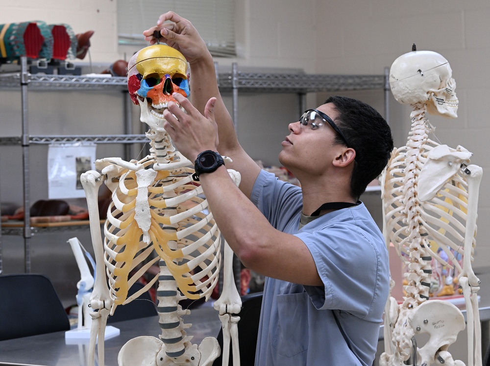 Students in Special Operations Combat Medic Course Take Part in Human Skeletal and Muscular Training