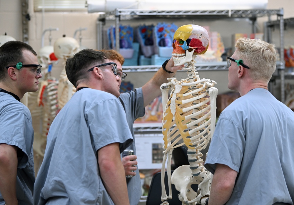 Students in Special Operations Combat Medic Course Take Part in Human Skeletal and Muscular Training