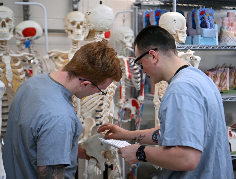 Students in Special Operations Combat Medic Course Take Part in Human Skeletal and Muscular Training