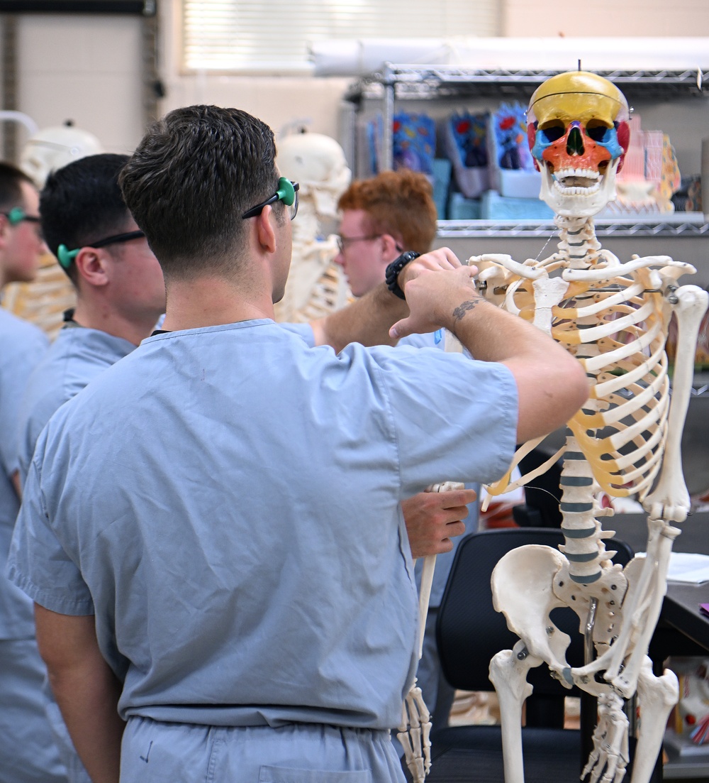 Students in Special Operations Combat Medic Course Take Part in Human Skeletal and Muscular Training